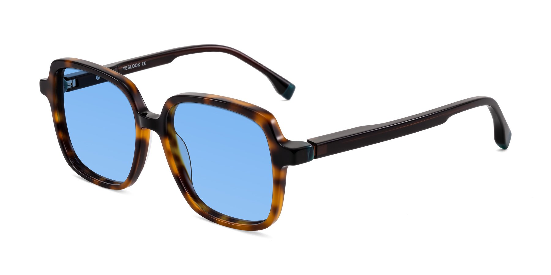 Angle of Huynh in Tortoise with Medium Blue Tinted Lenses