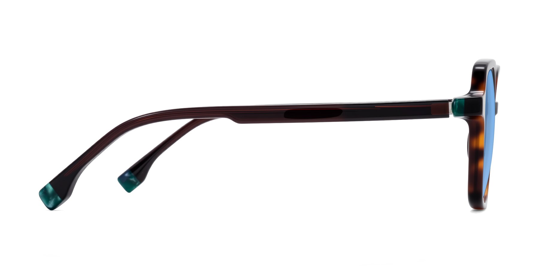 Side of Huynh in Tortoise with Medium Blue Tinted Lenses