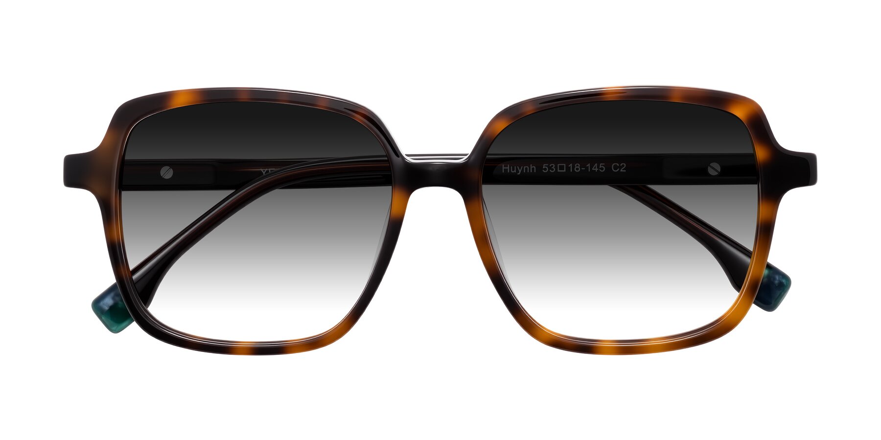 Folded Front of Huynh in Tortoise with Gray Gradient Lenses