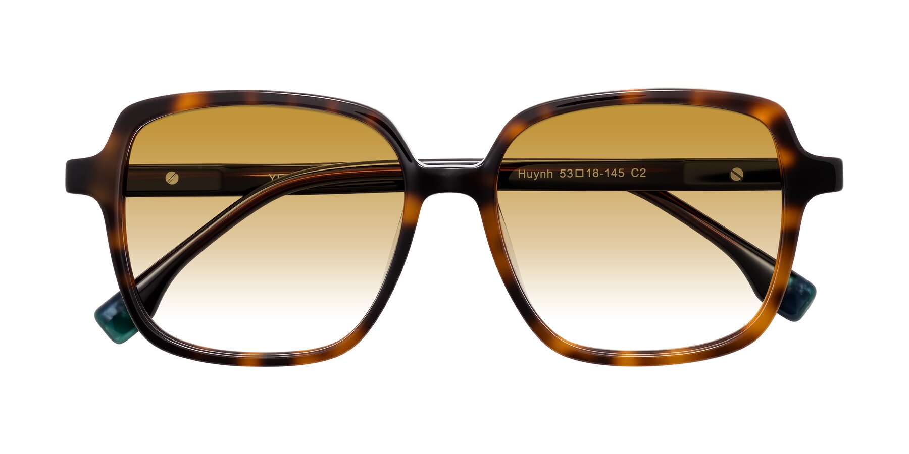 Folded Front of Huynh in Tortoise with Champagne Gradient Lenses