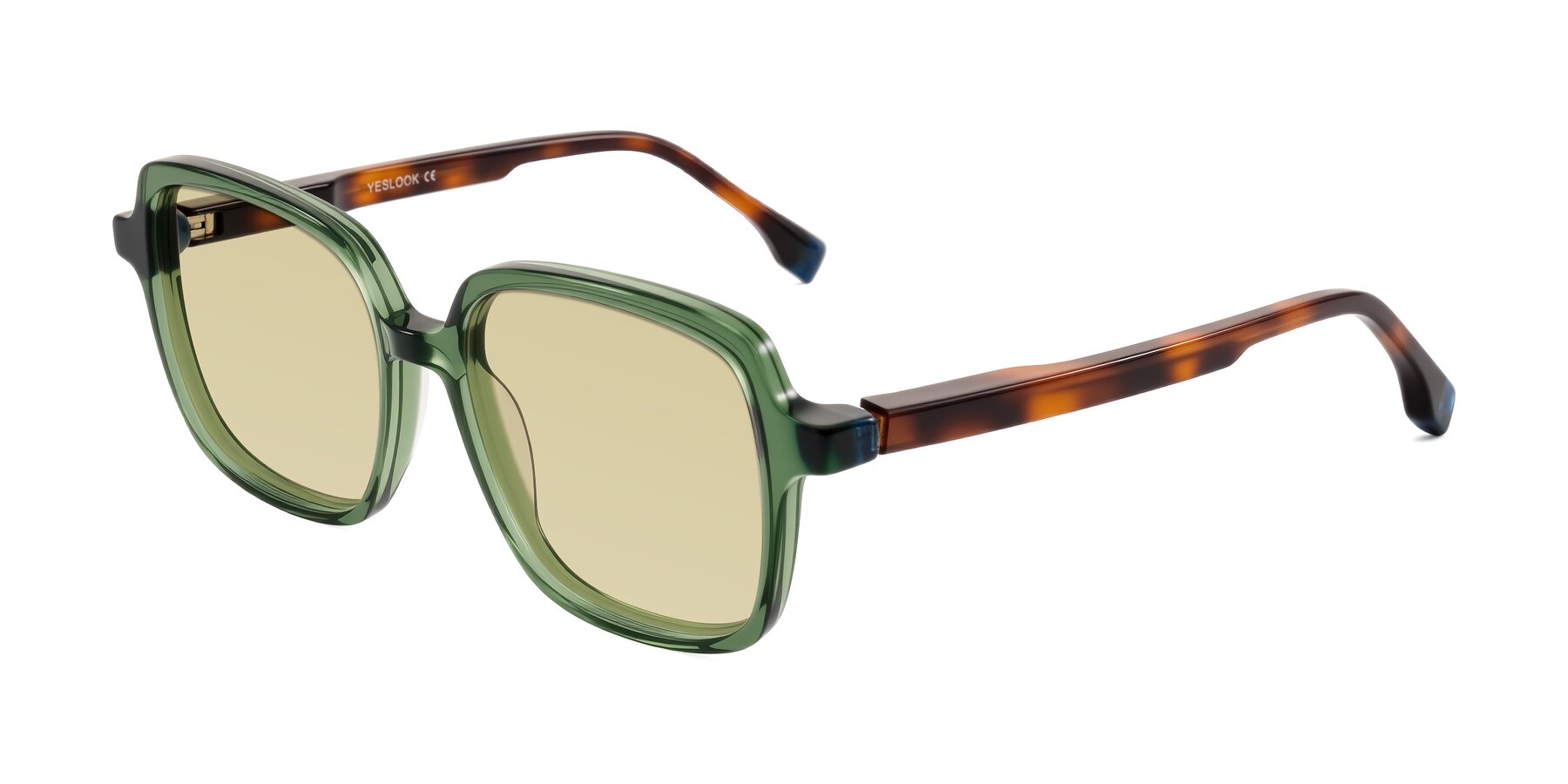 Angle of Huynh in Green/Tortoise with Light Champagne Tinted Lenses