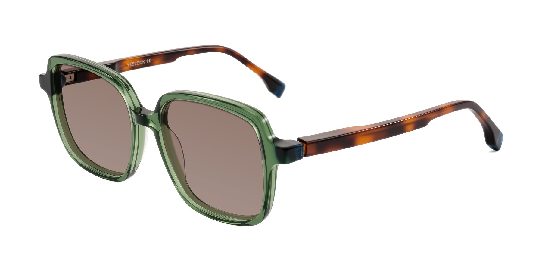 Angle of Huynh in Green/Tortoise with Medium Brown Tinted Lenses
