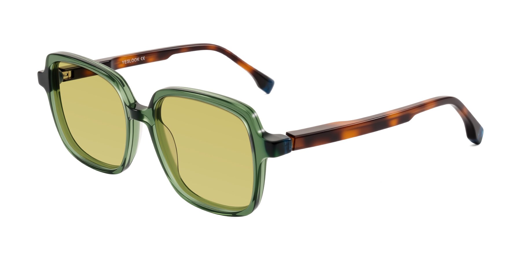 Angle of Huynh in Green/Tortoise with Medium Champagne Tinted Lenses