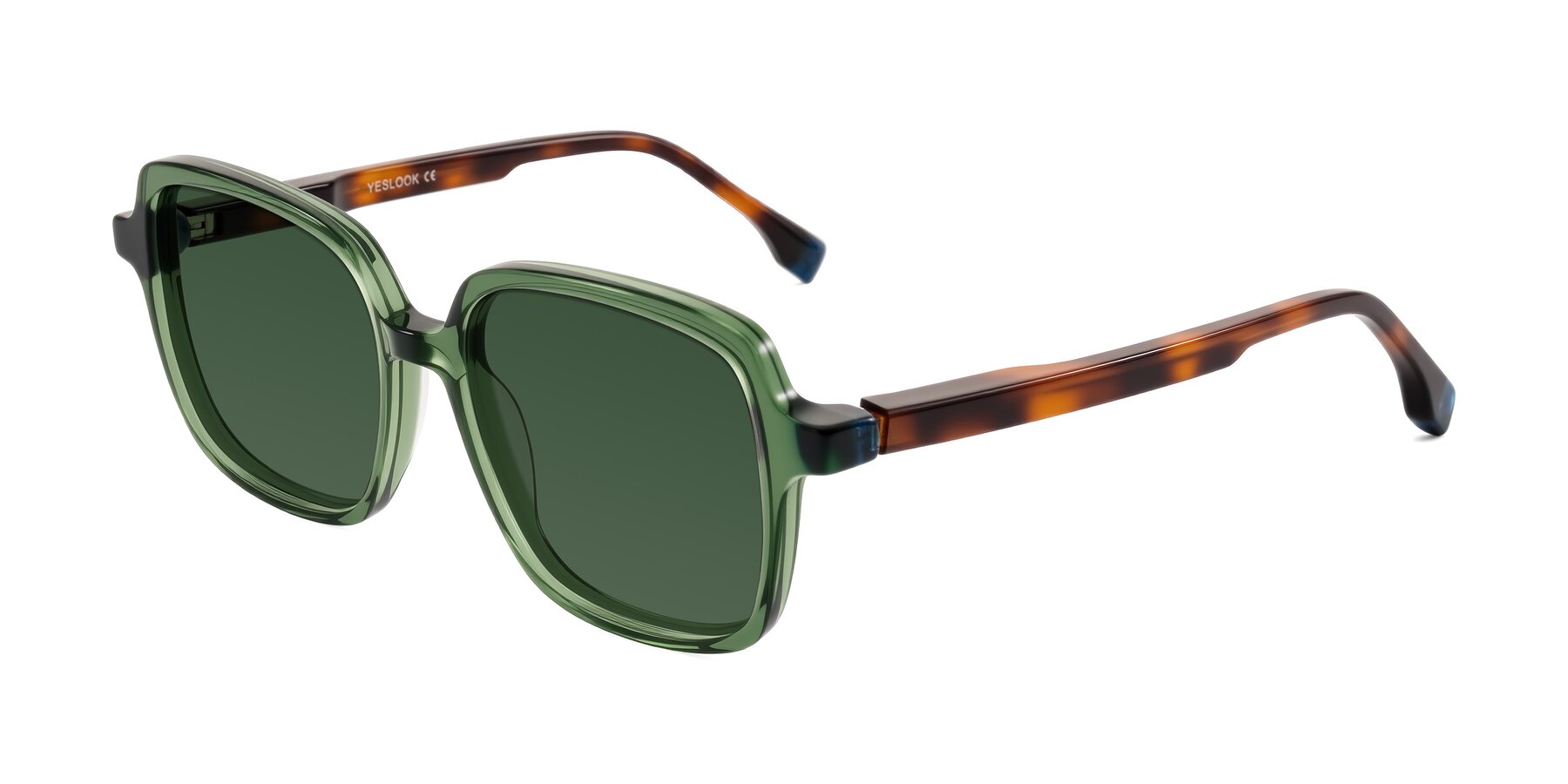 Angle of Huynh in Green/Tortoise with Green Tinted Lenses