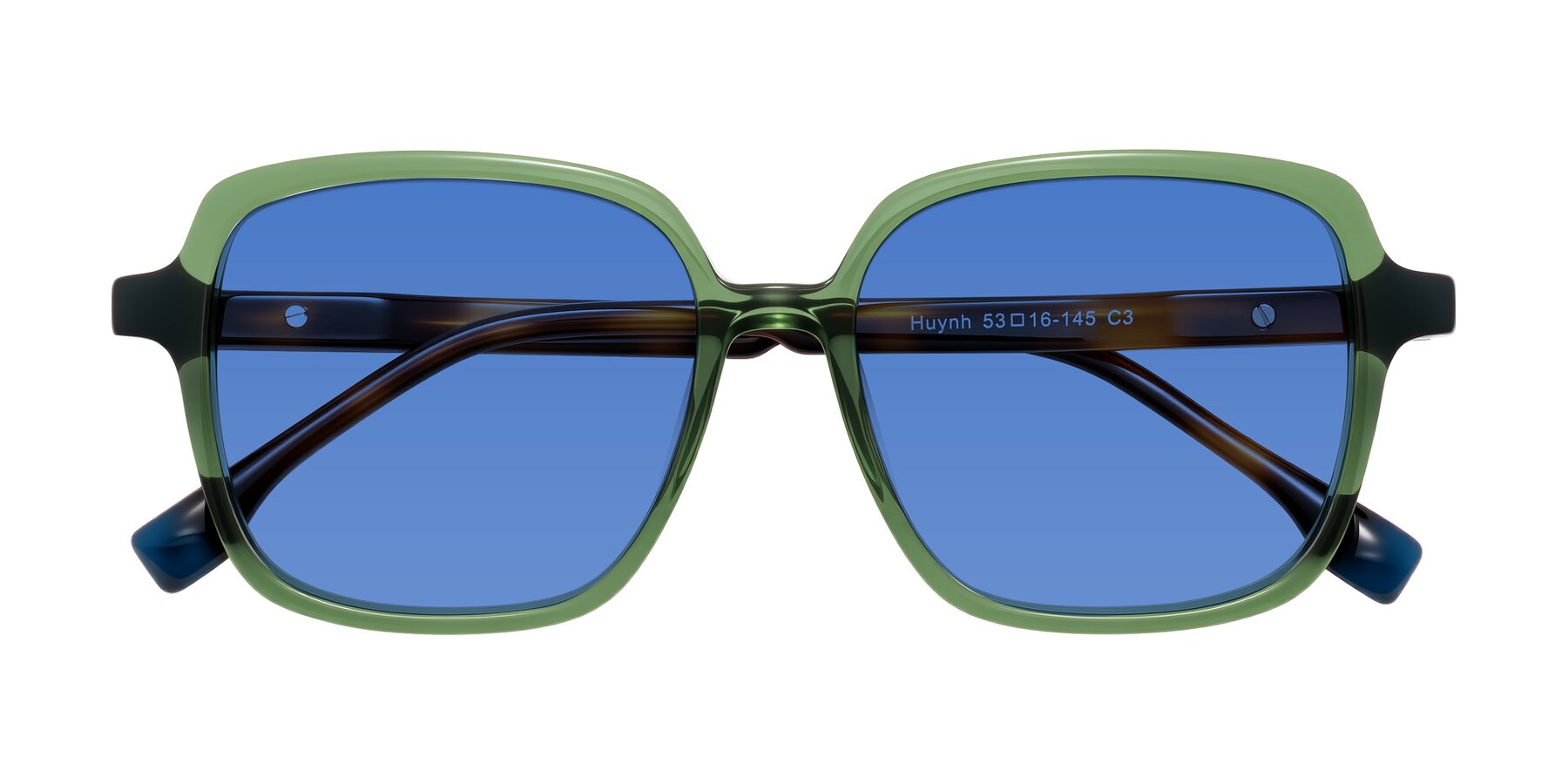 Folded Front of Huynh in Green/Tortoise with Blue Tinted Lenses