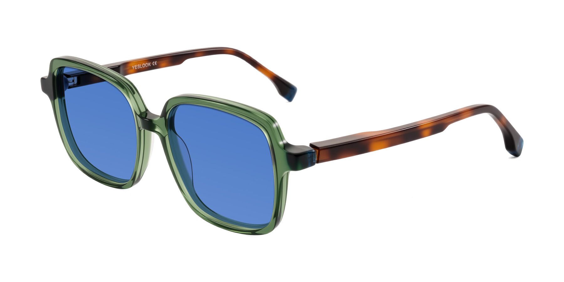 Angle of Huynh in Green/Tortoise with Blue Tinted Lenses