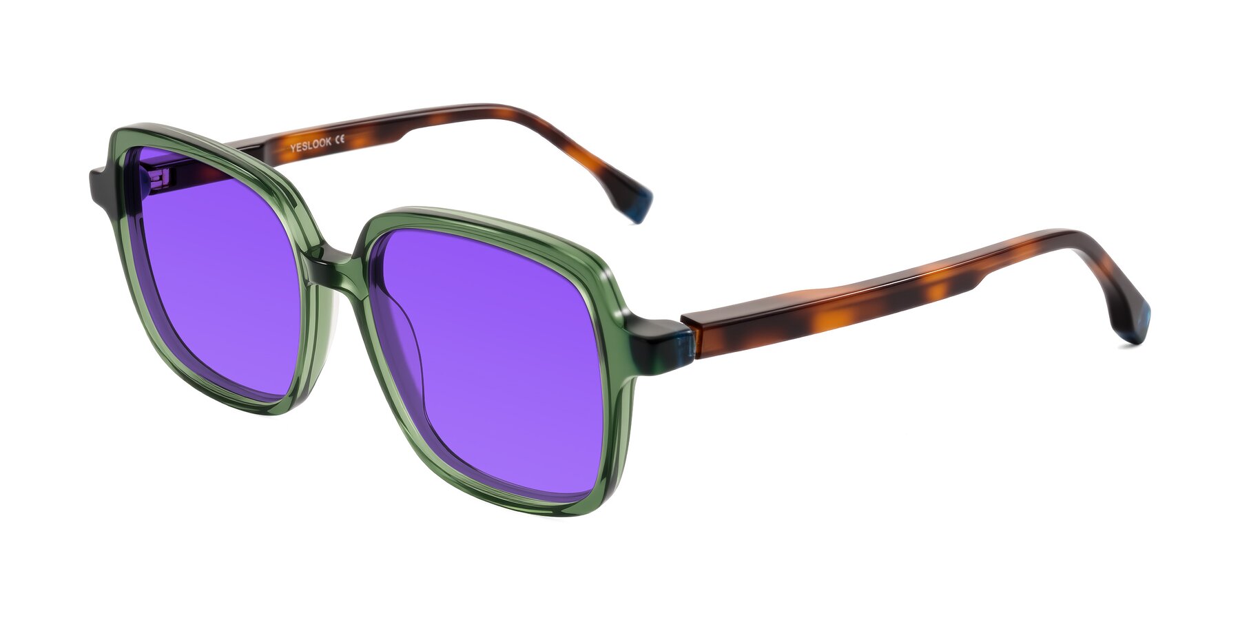 Angle of Huynh in Green/Tortoise with Purple Tinted Lenses