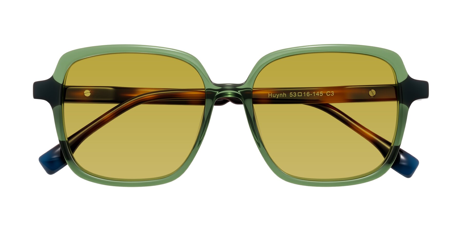 Folded Front of Huynh in Green/Tortoise with Champagne Tinted Lenses