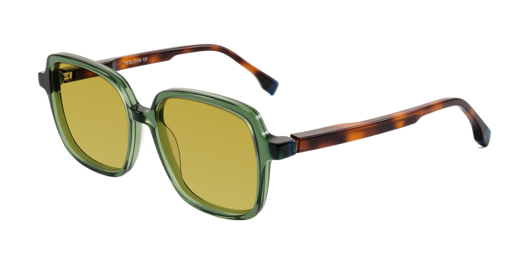 Angle of Huynh in Green/Tortoise with Champagne Tinted Lenses