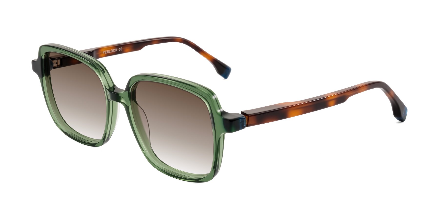 Angle of Huynh in Green/Tortoise with Brown Gradient Lenses