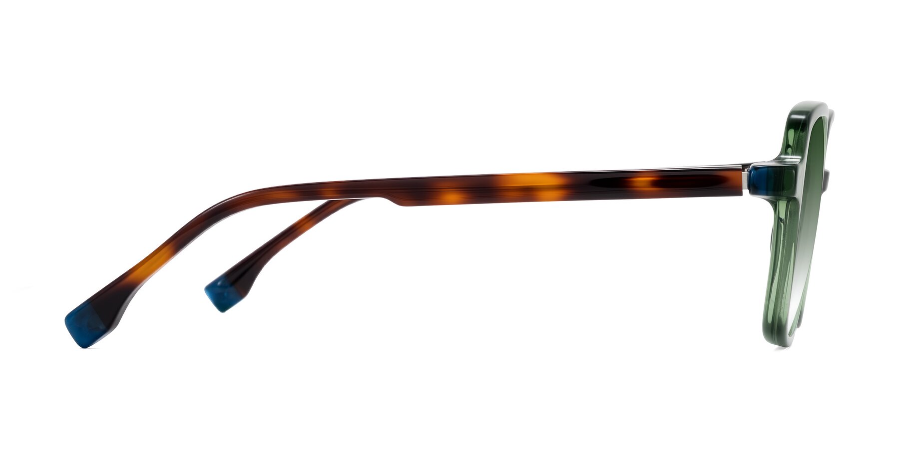 Side of Huynh in Green/Tortoise with Green Gradient Lenses