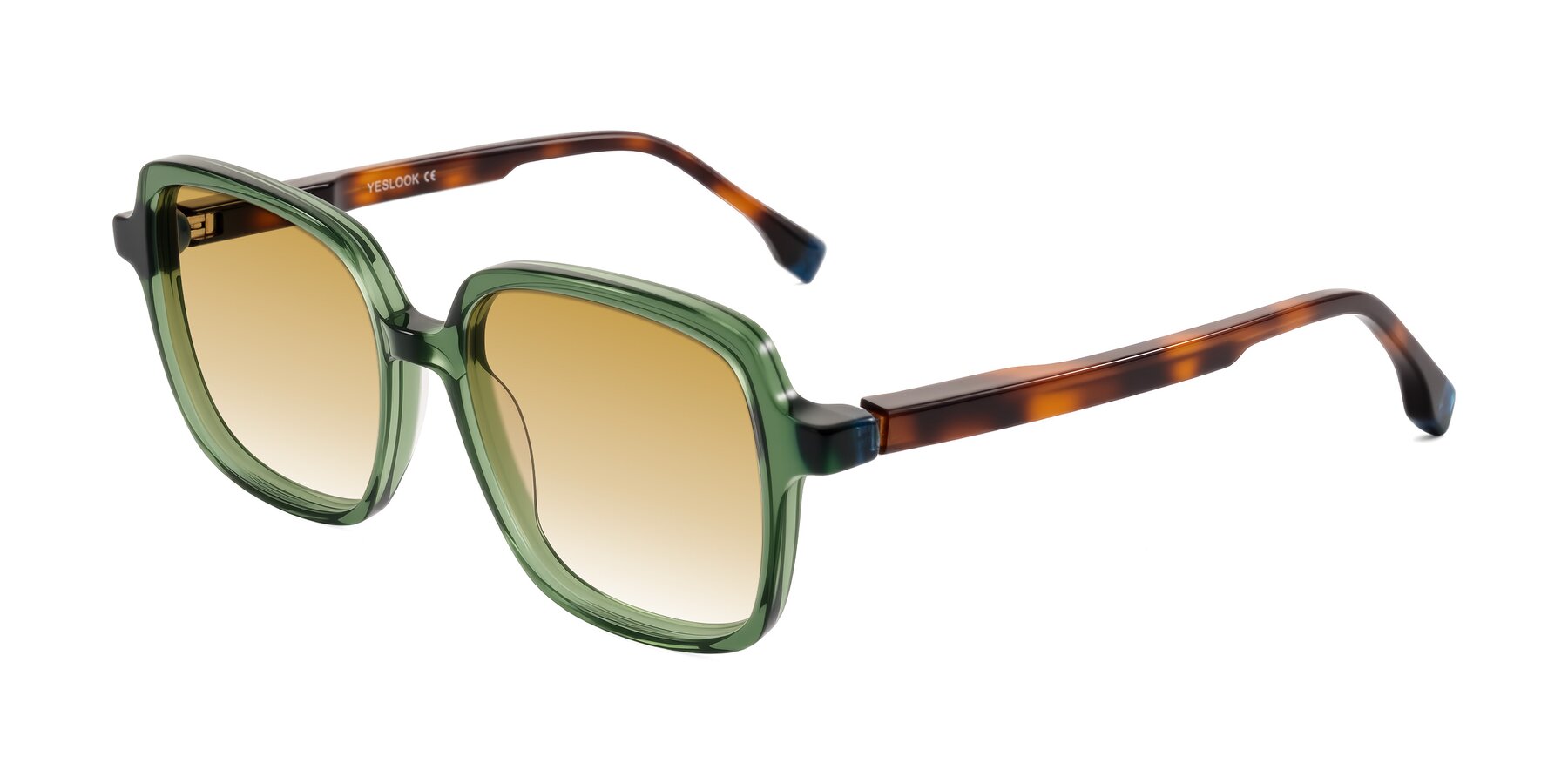 Angle of Huynh in Green/Tortoise with Champagne Gradient Lenses