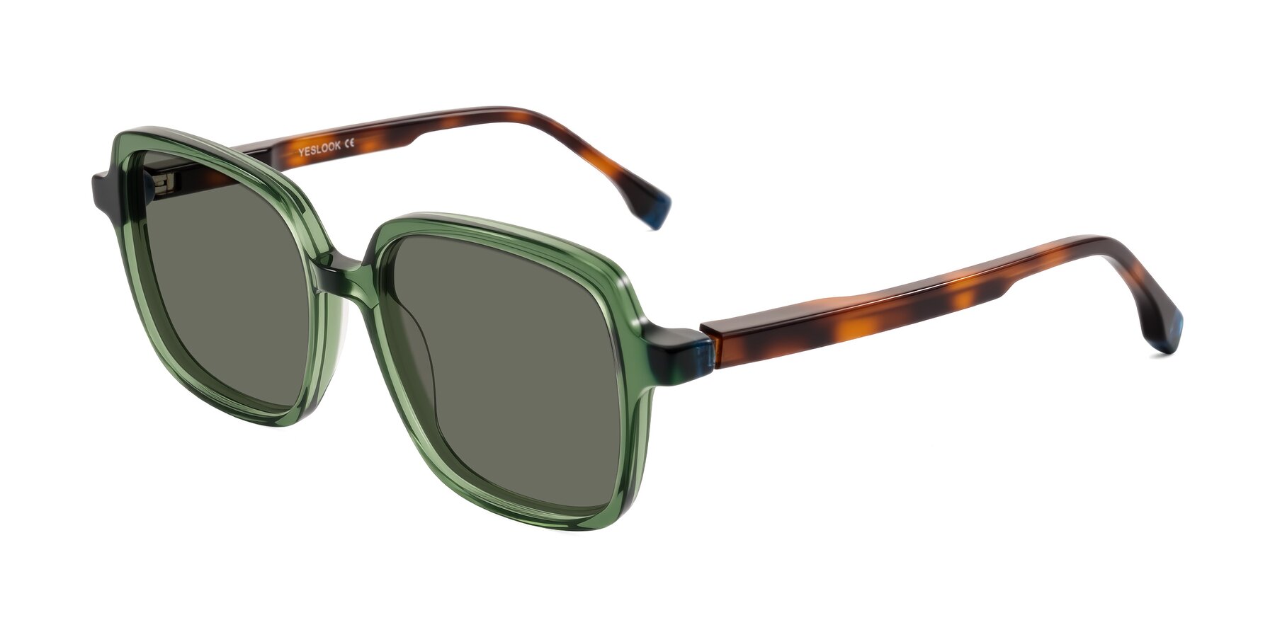 Angle of Huynh in Green/Tortoise with Gray Polarized Lenses