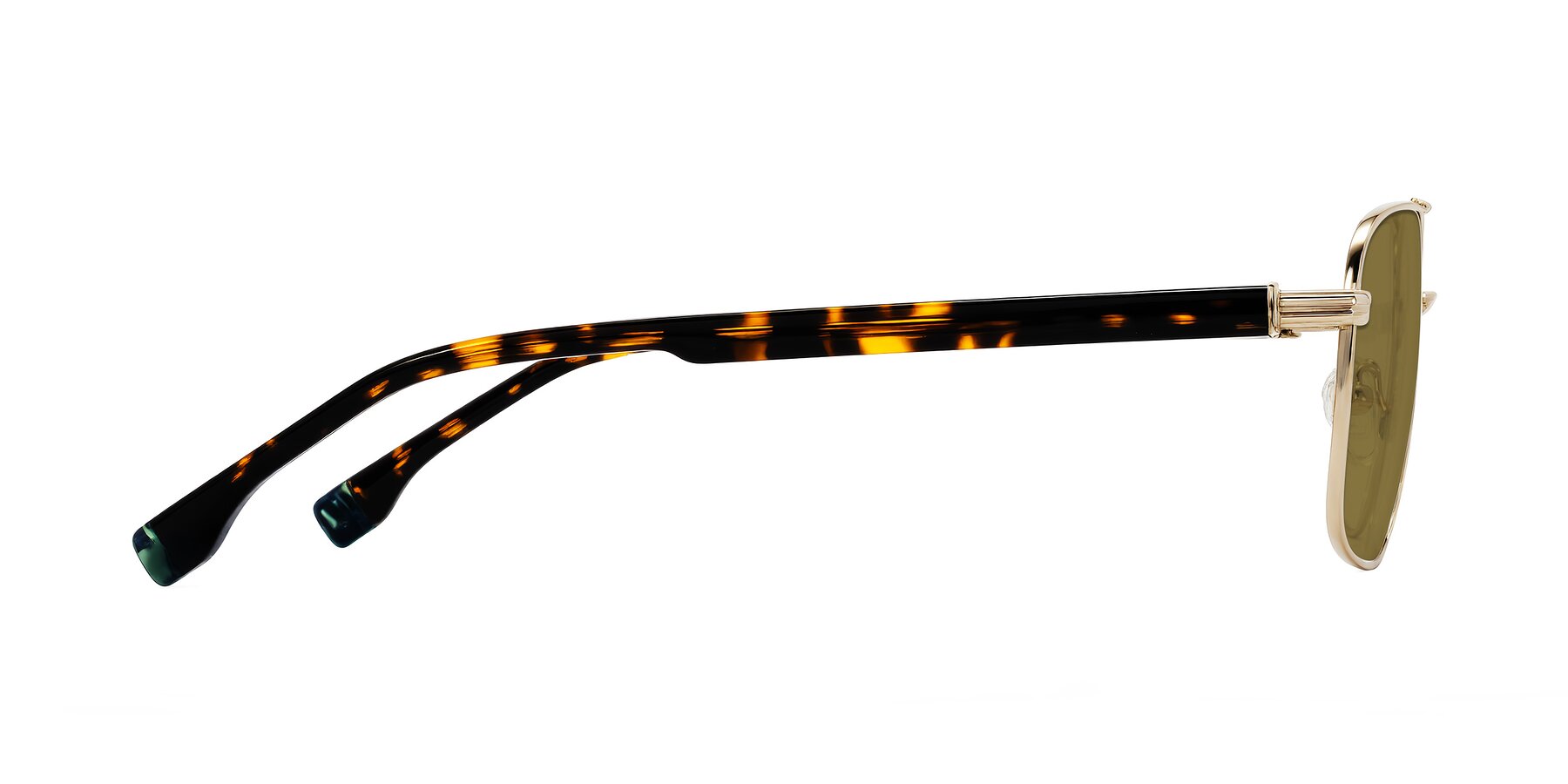 Side of Banten in Gold with Brown Polarized Lenses