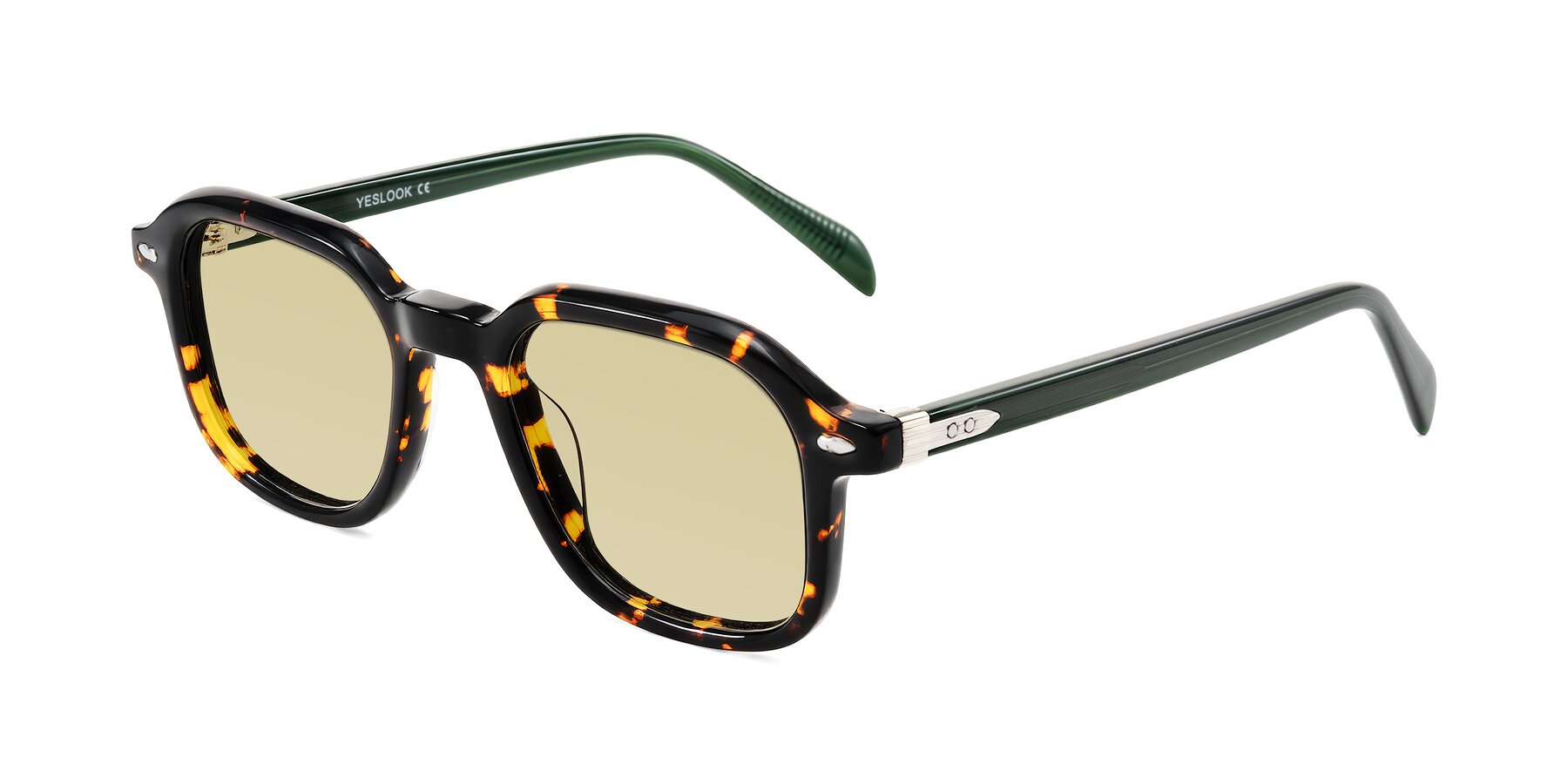Angle of Salyba in Tortoise/Green with Light Champagne Tinted Lenses
