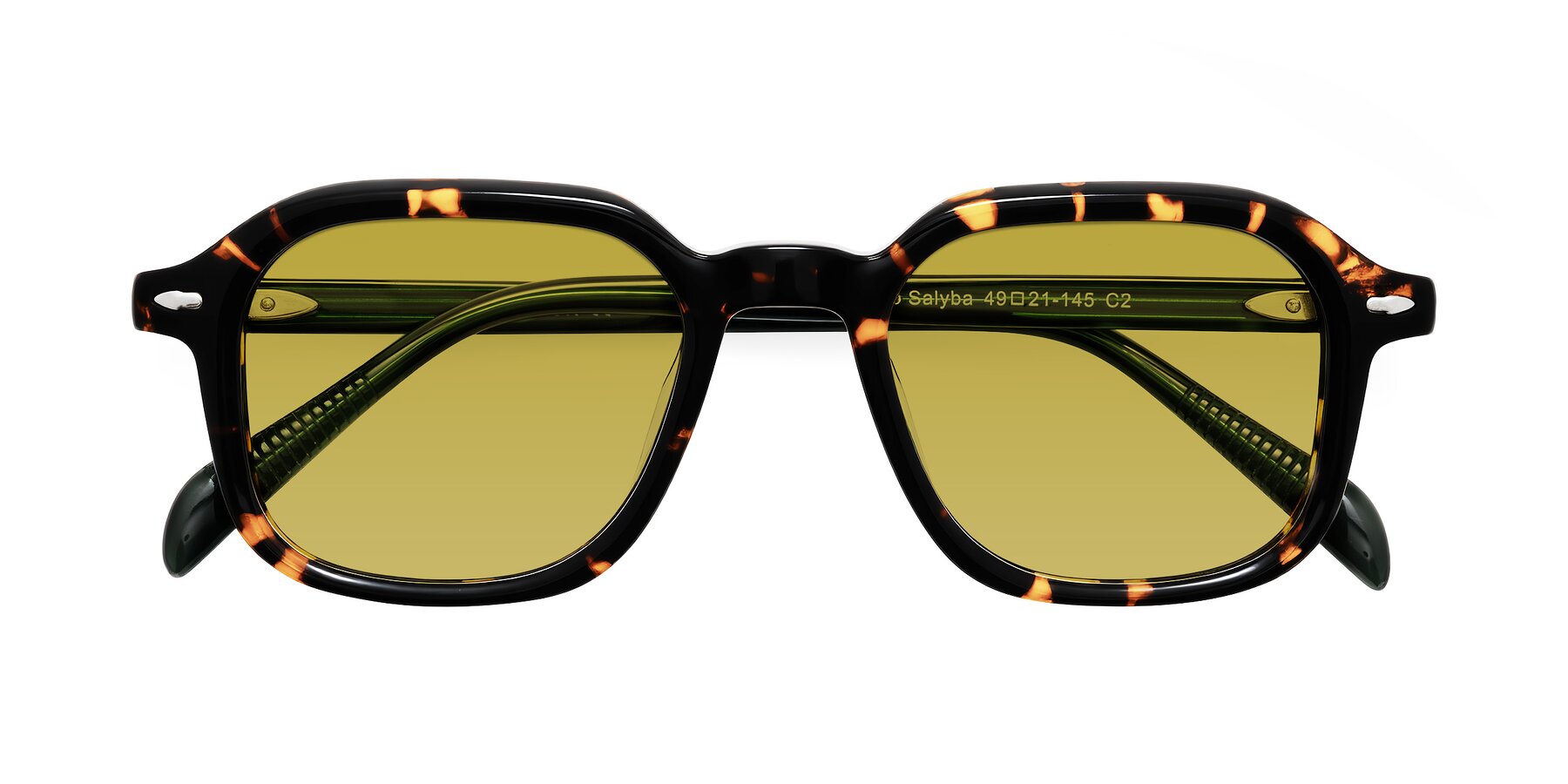 Folded Front of Salyba in Tortoise/Green with Champagne Tinted Lenses