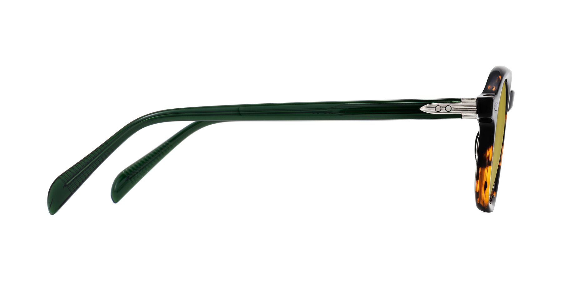 Side of Salyba in Tortoise/Green with Champagne Tinted Lenses