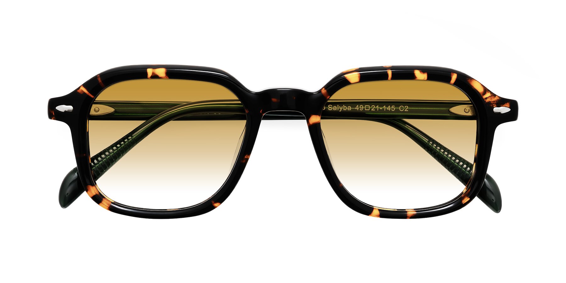Folded Front of Salyba in Tortoise/Green with Champagne Gradient Lenses