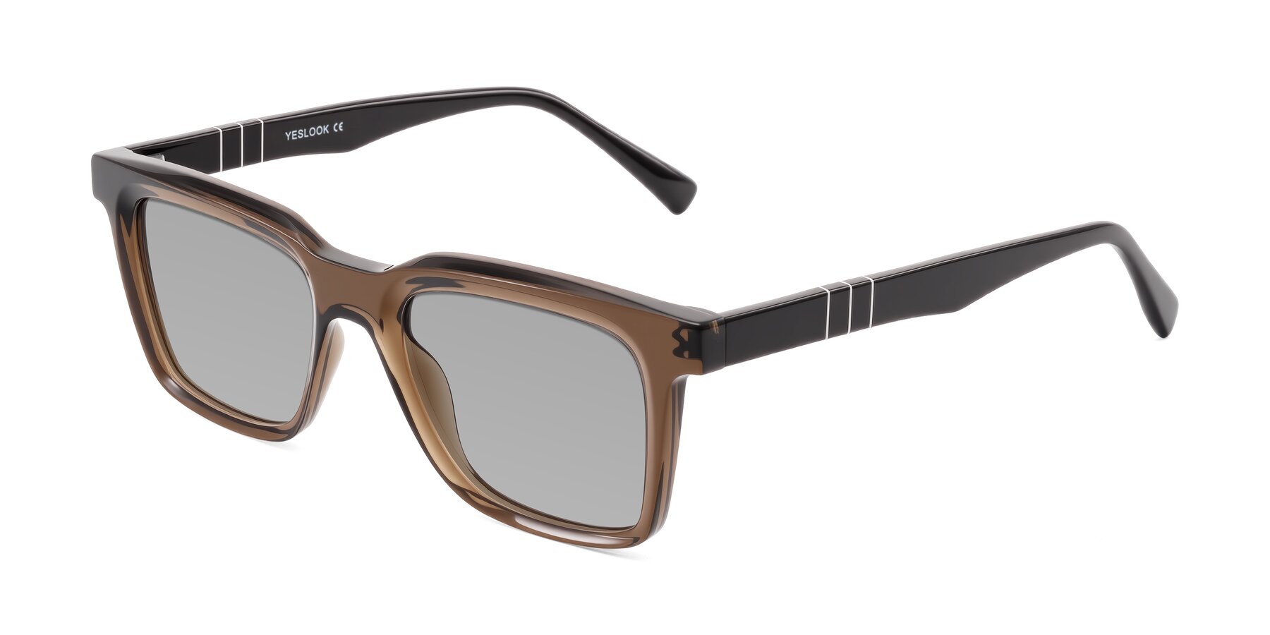Angle of Itasca in Brown with Light Gray Tinted Lenses