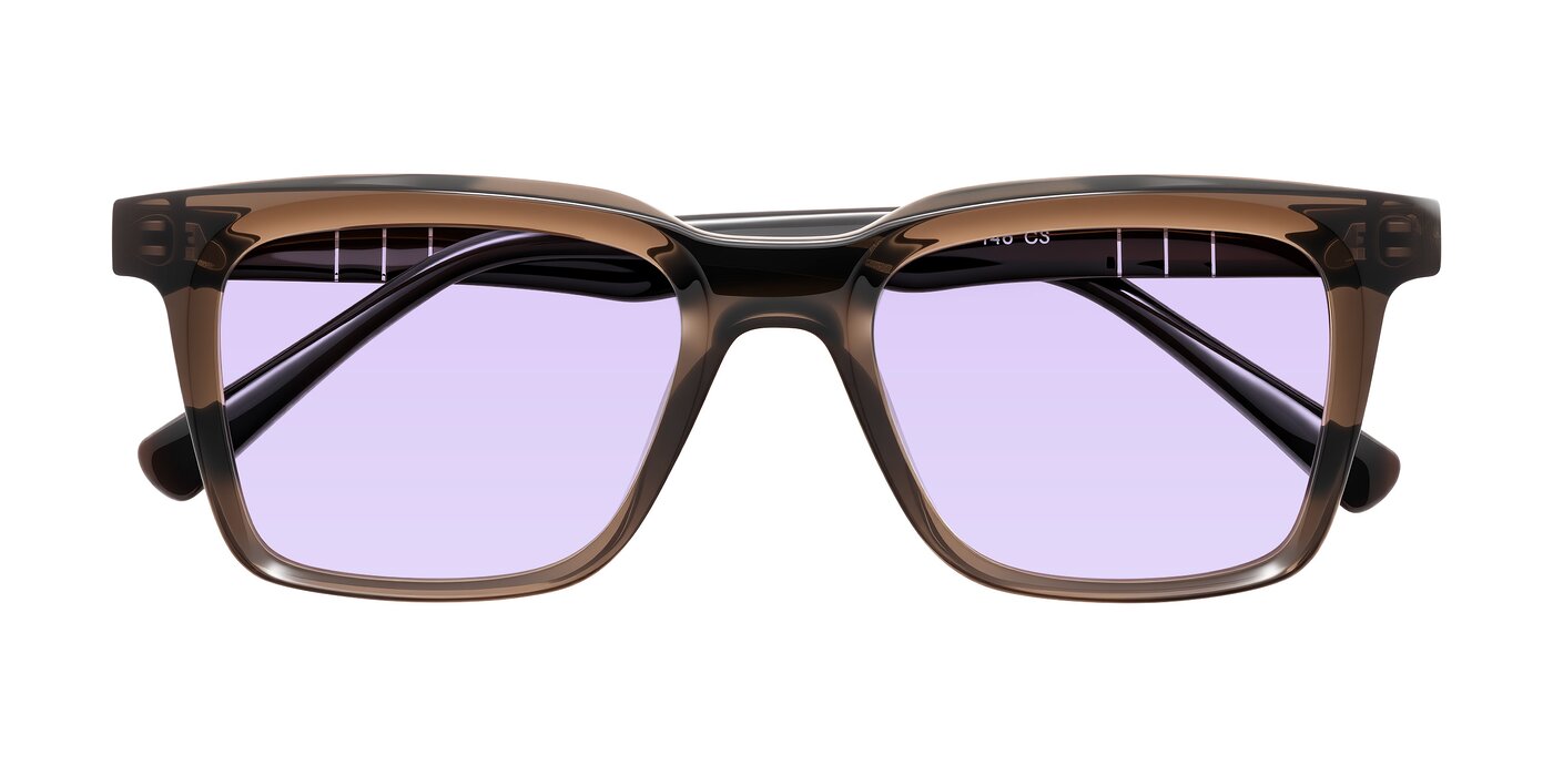 Itasca - Brown Tinted Sunglasses