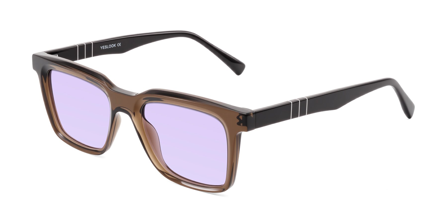 Angle of Itasca in Brown with Light Purple Tinted Lenses