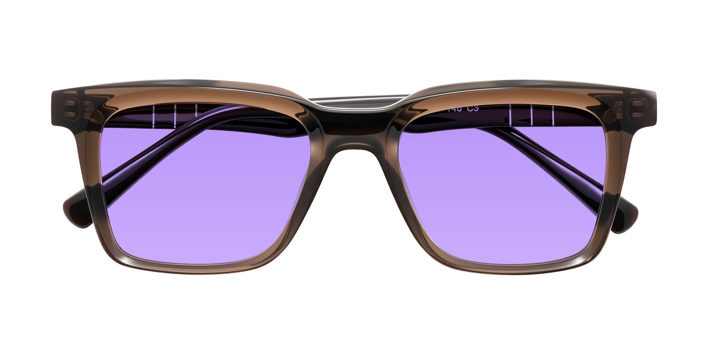 Itasca - Brown Tinted Sunglasses