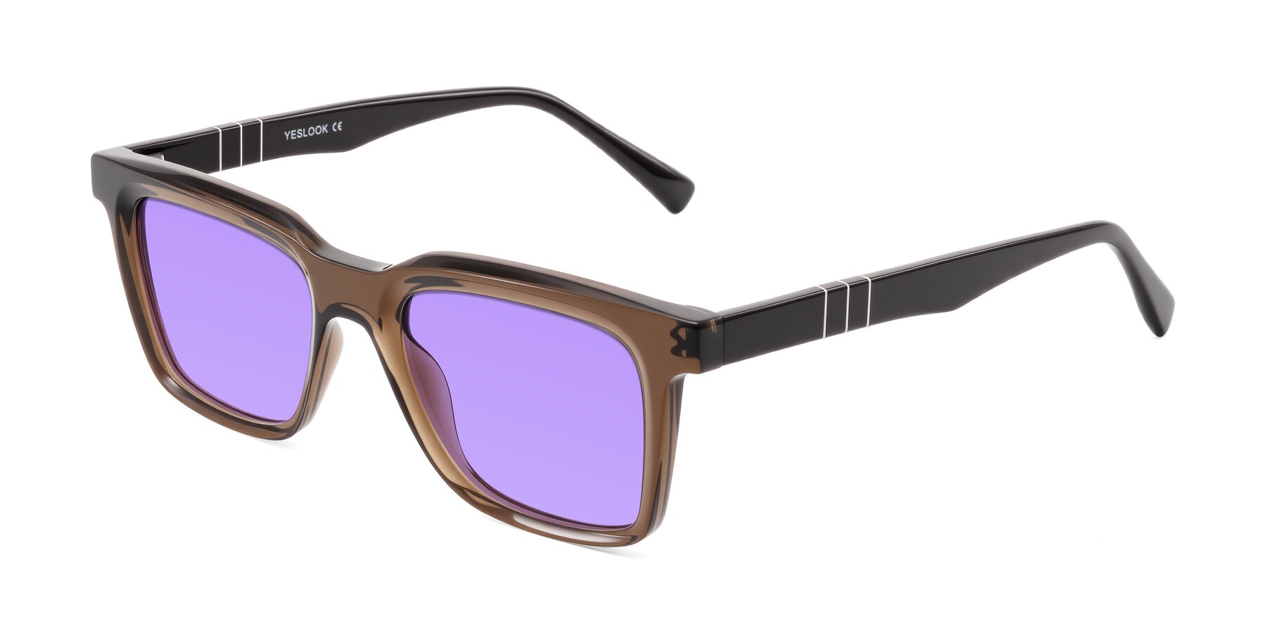 Angle of Itasca in Brown with Medium Purple Tinted Lenses