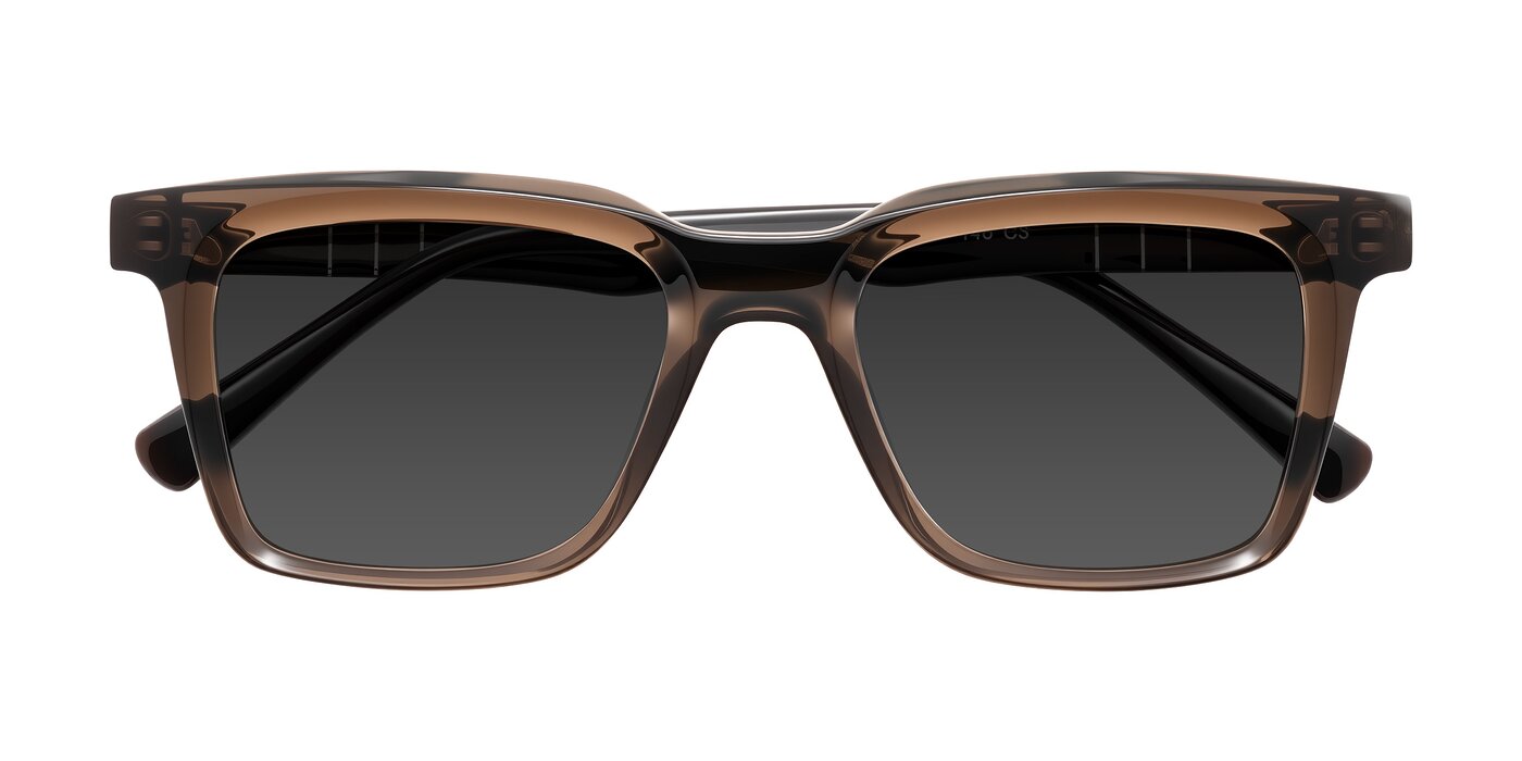 Itasca - Brown Tinted Sunglasses
