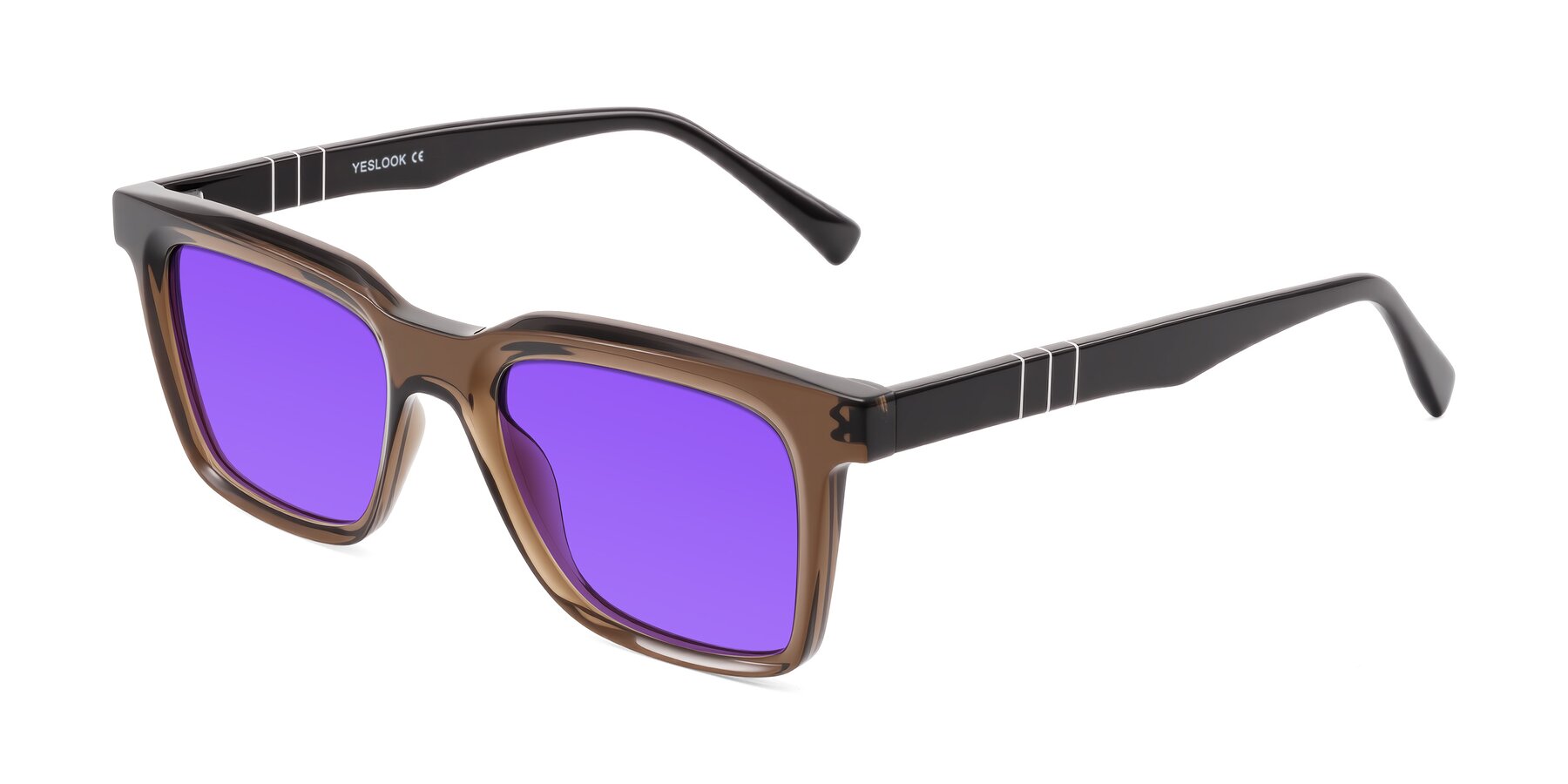 Angle of Itasca in Brown with Purple Tinted Lenses