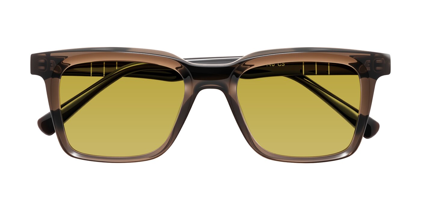 Itasca - Brown Tinted Sunglasses