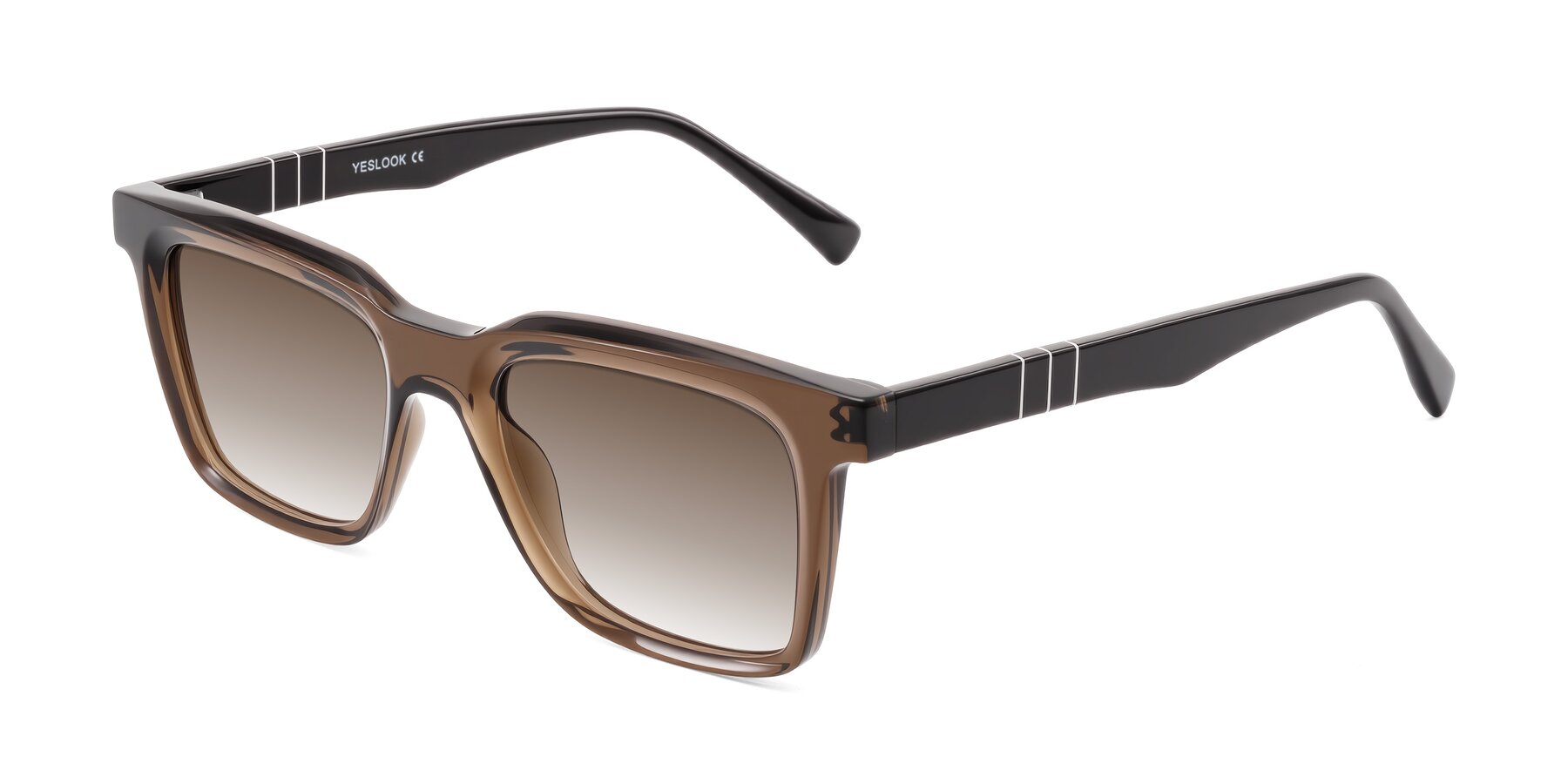 Angle of Itasca in Brown with Brown Gradient Lenses