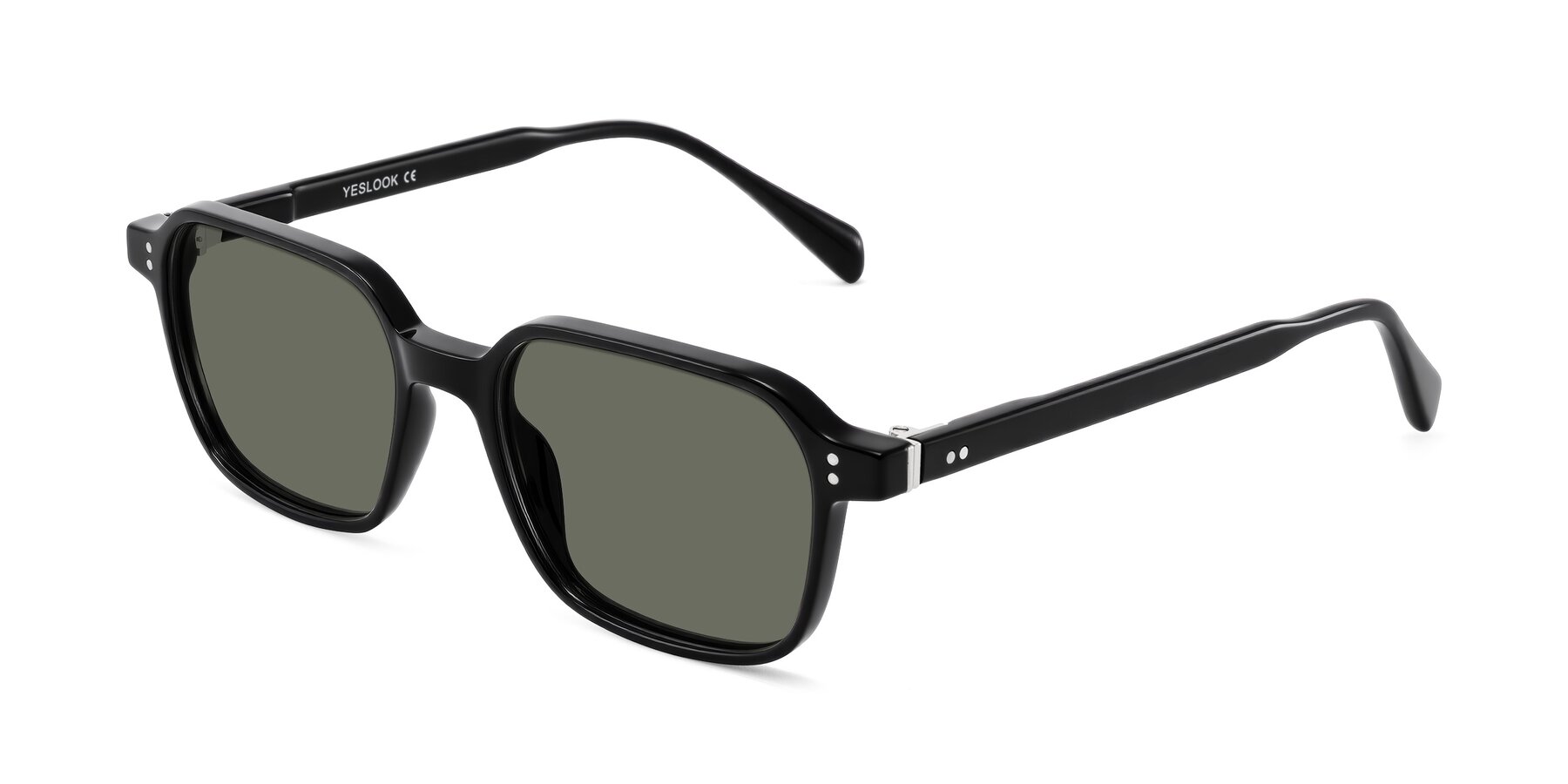 Angle of Schwedts in Black with Gray Polarized Lenses