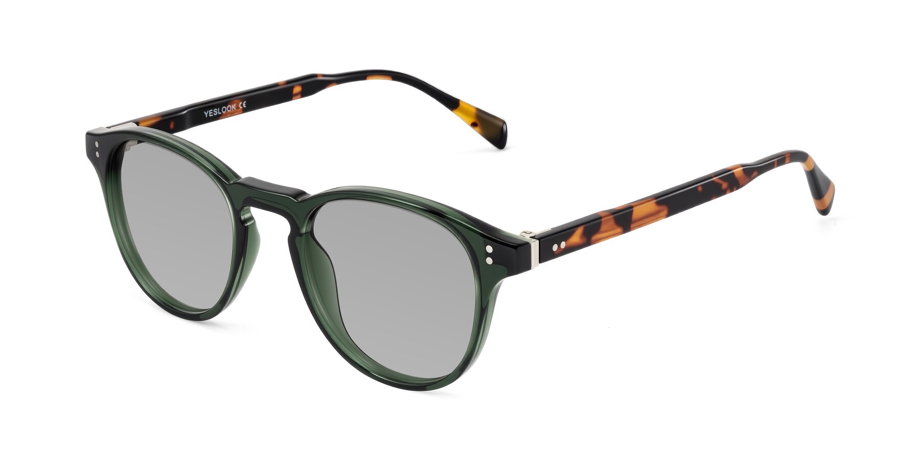 Angle of Dayen in Dark Green/Tortoise with Light Gray Tinted Lenses