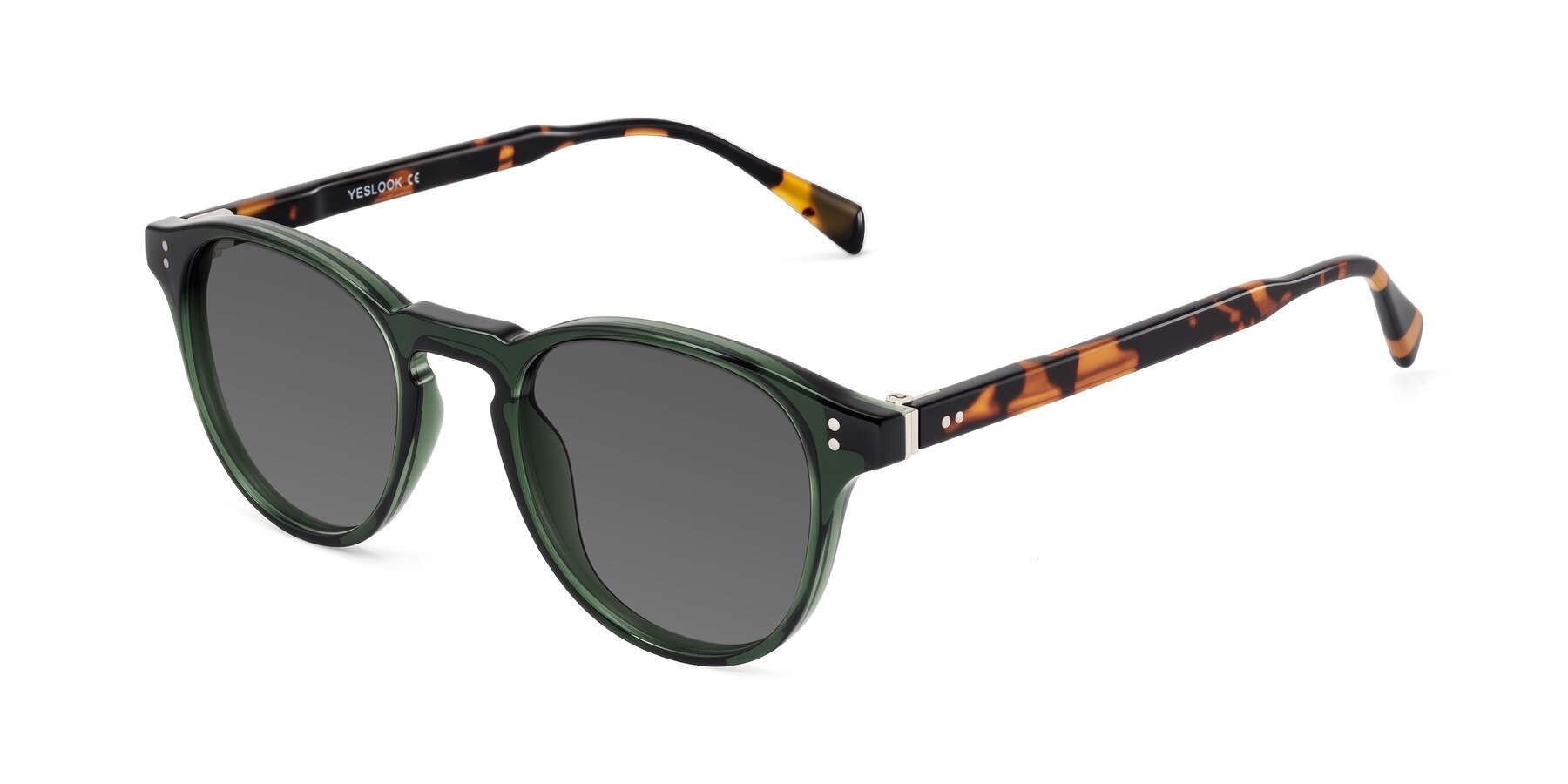 Angle of Dayen in Dark Green/Tortoise with Medium Gray Tinted Lenses