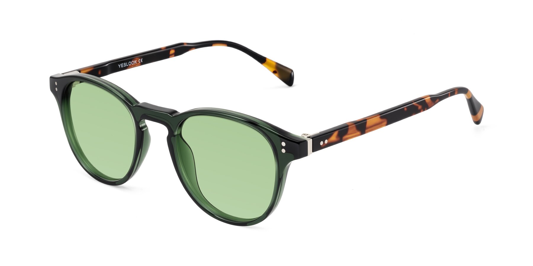 Angle of Dayen in Dark Green/Tortoise with Medium Green Tinted Lenses