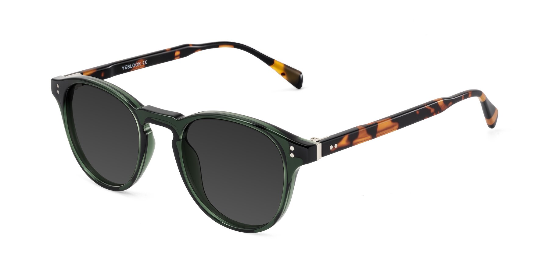 Angle of Dayen in Dark Green/Tortoise with Gray Tinted Lenses
