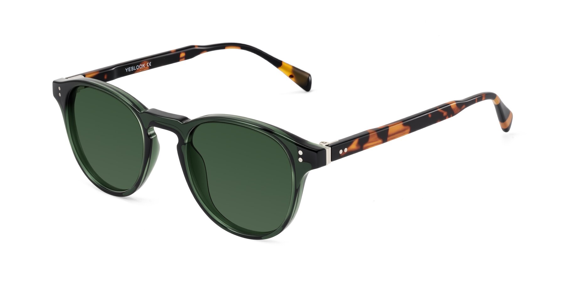 Angle of Dayen in Dark Green/Tortoise with Green Tinted Lenses