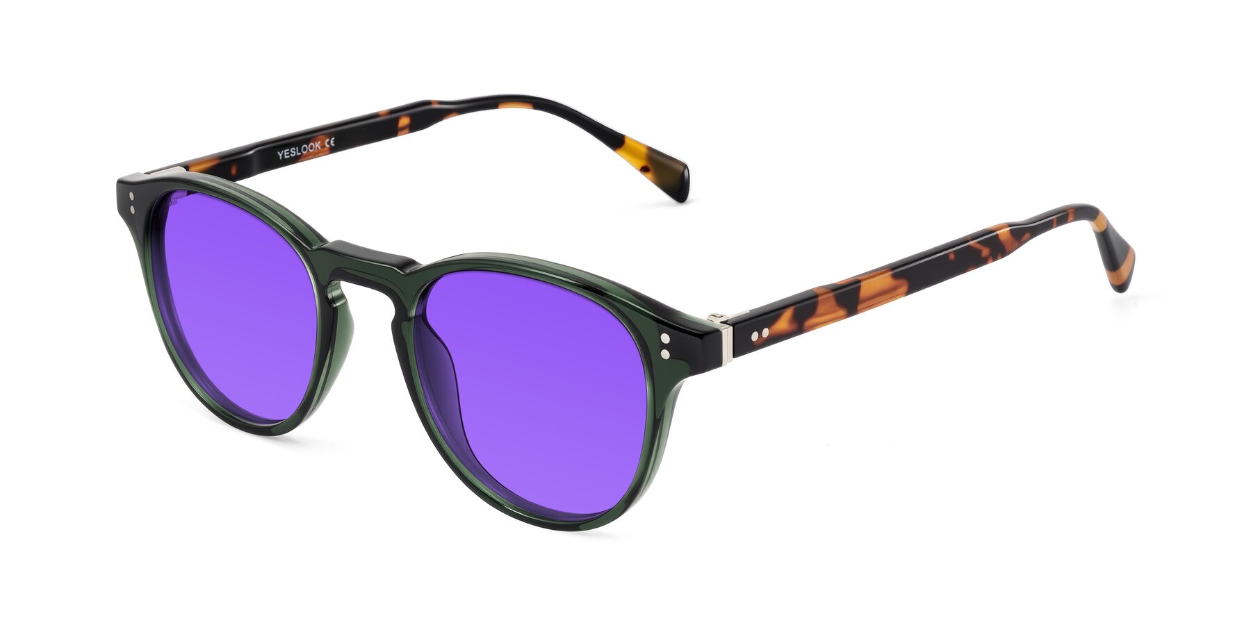 Angle of Dayen in Dark Green/Tortoise with Purple Tinted Lenses