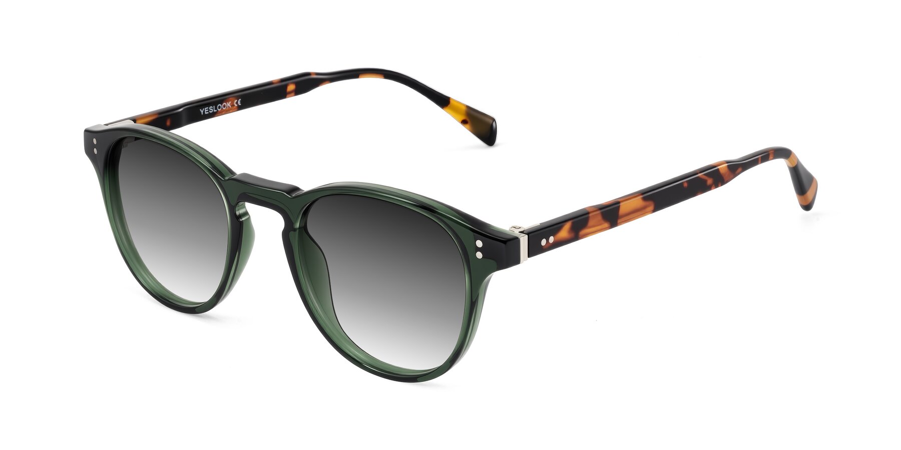 Angle of Dayen in Dark Green/Tortoise with Gray Gradient Lenses