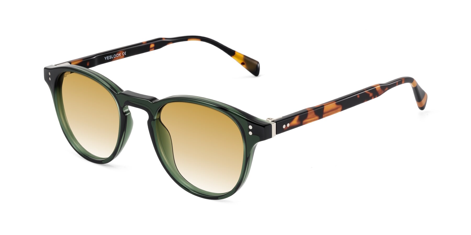 Angle of Dayen in Dark Green/Tortoise with Champagne Gradient Lenses