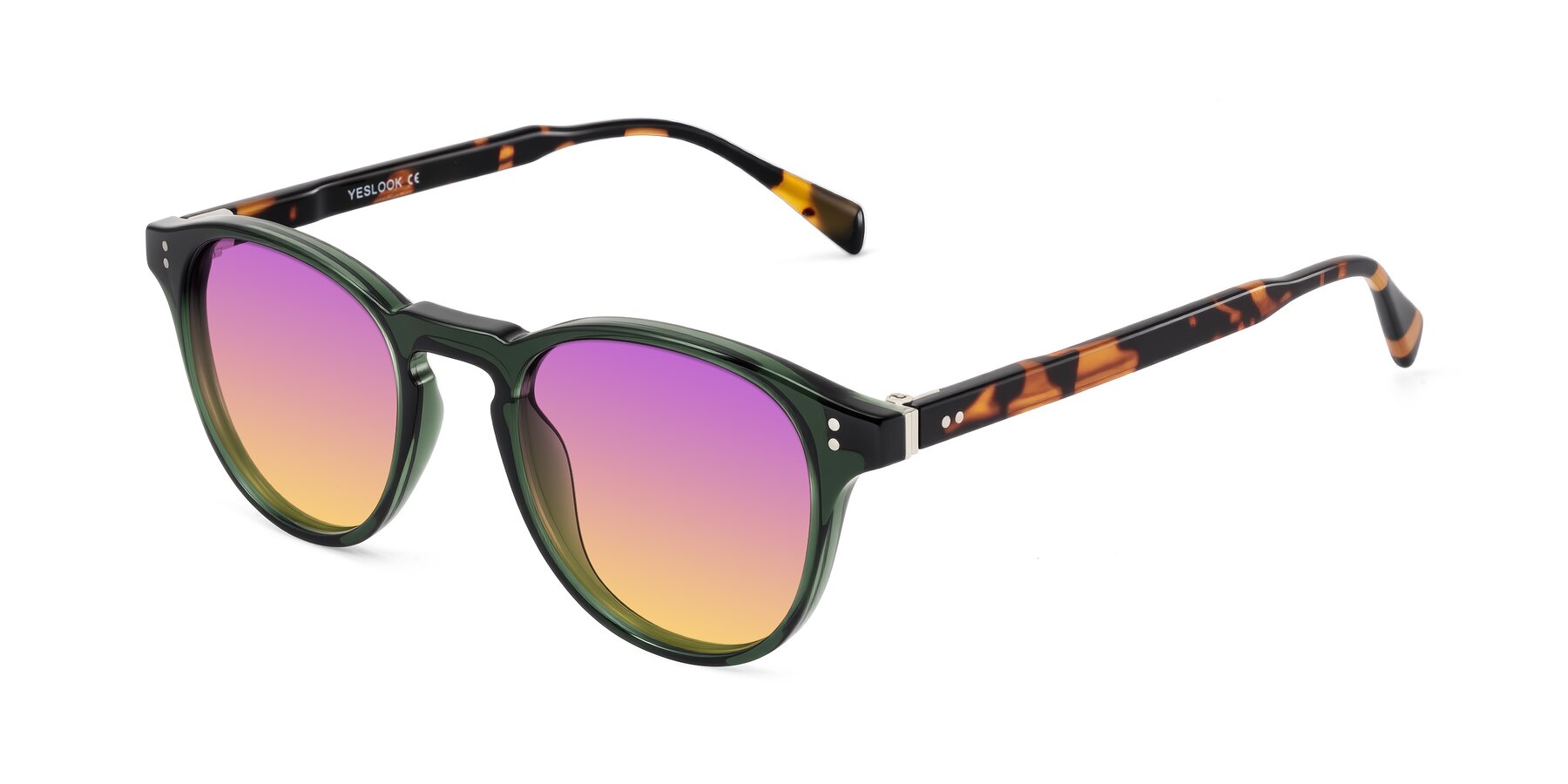 Angle of Dayen in Dark Green/Tortoise with Purple / Yellow Gradient Lenses