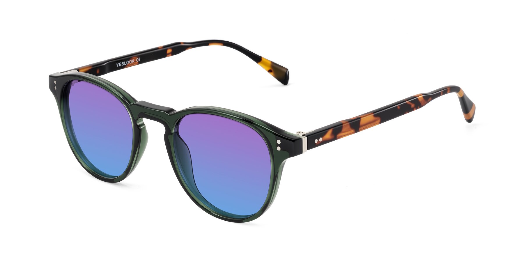 Angle of Dayen in Dark Green/Tortoise with Purple / Blue Gradient Lenses