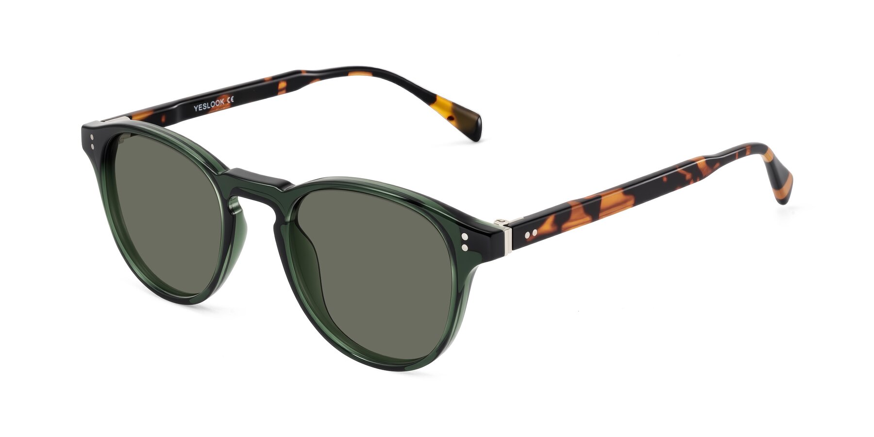Angle of Dayen in Dark Green/Tortoise with Gray Polarized Lenses