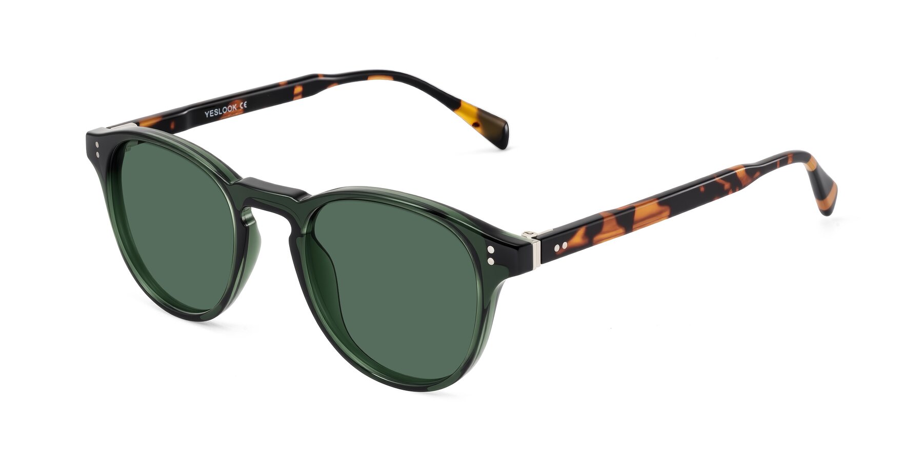 Angle of Dayen in Dark Green/Tortoise with Green Polarized Lenses
