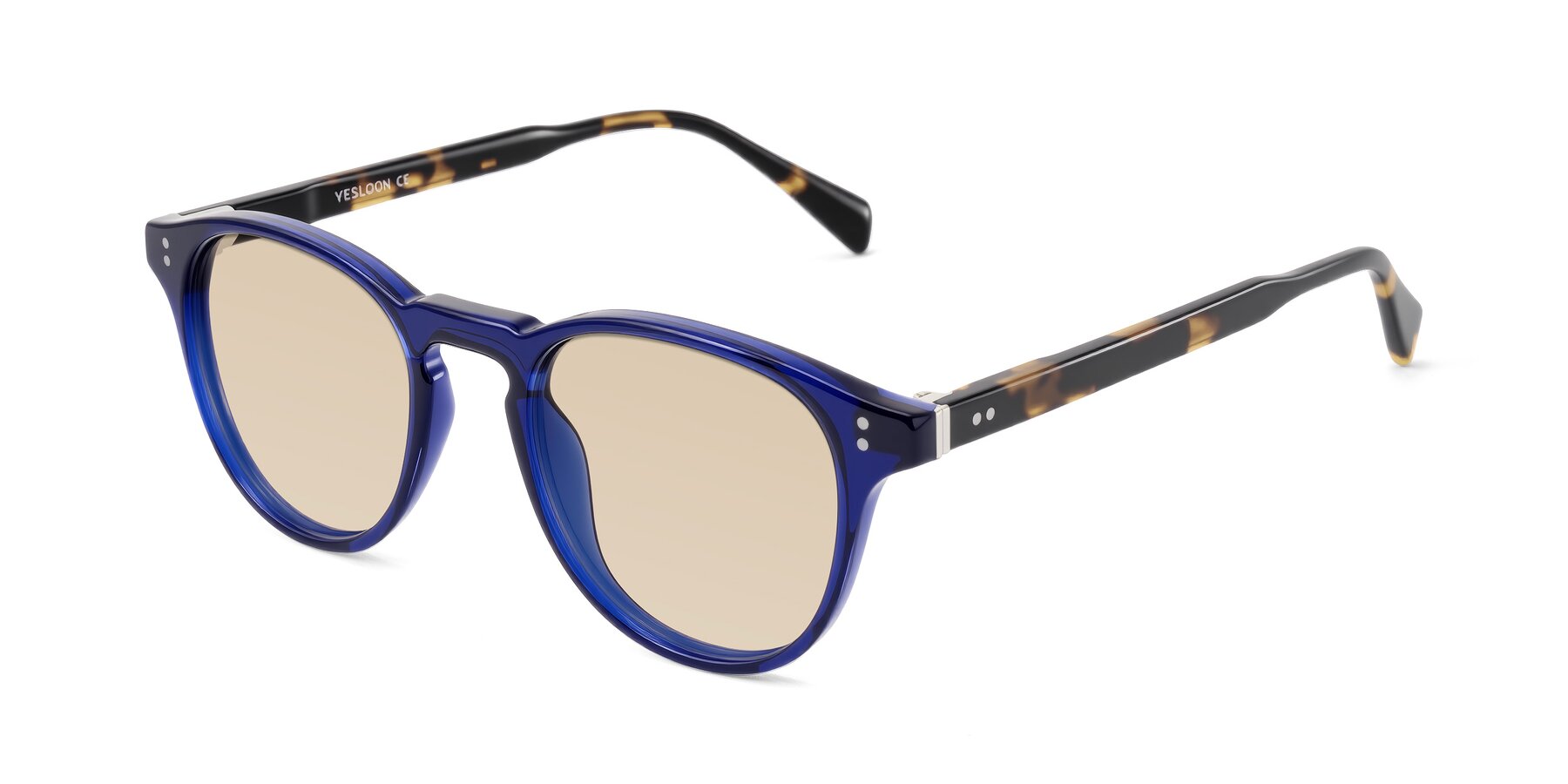 Angle of Dayen in Navy Blue/Tortoise with Light Brown Tinted Lenses