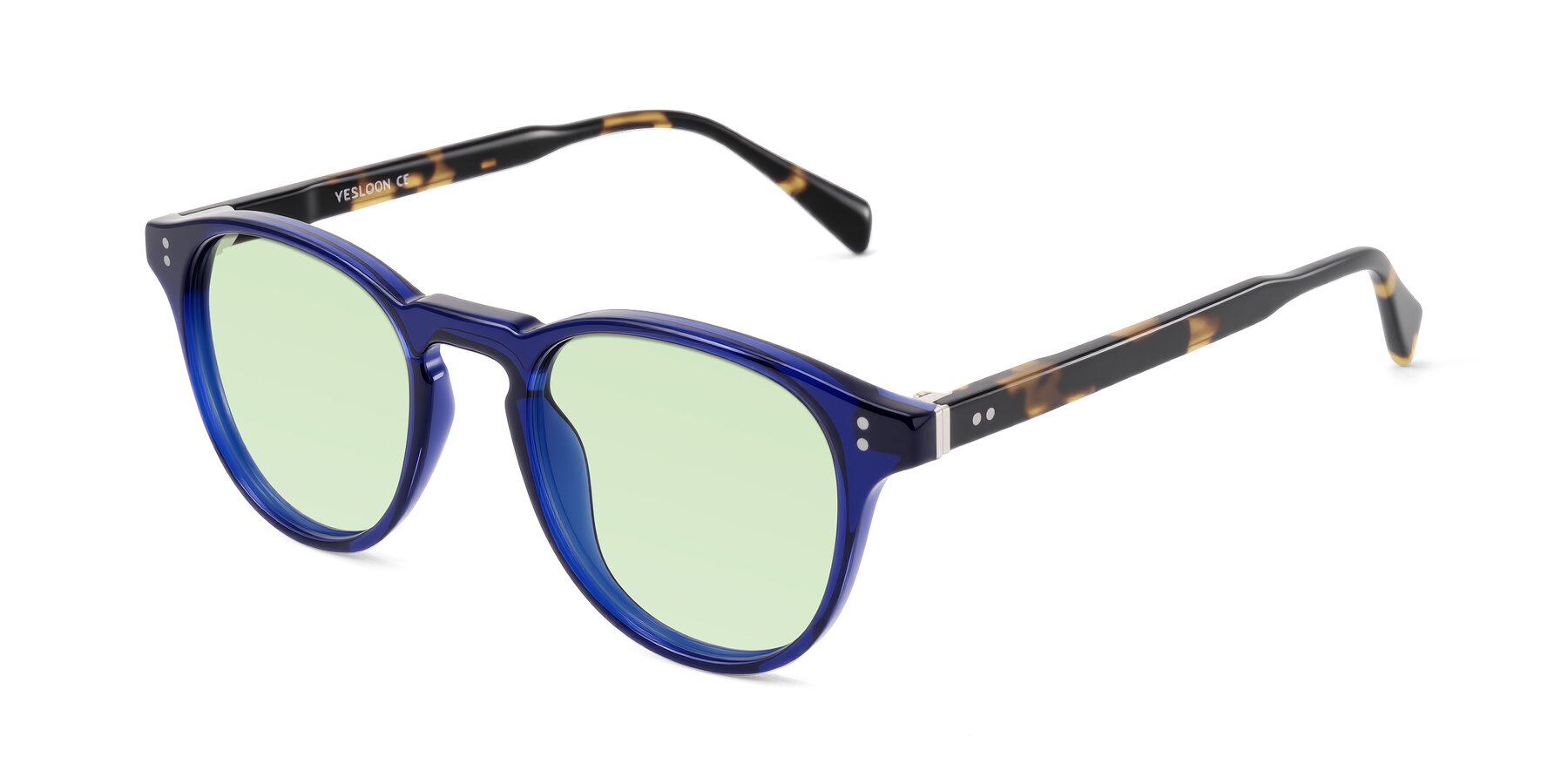 Angle of Dayen in Navy Blue/Tortoise with Light Green Tinted Lenses