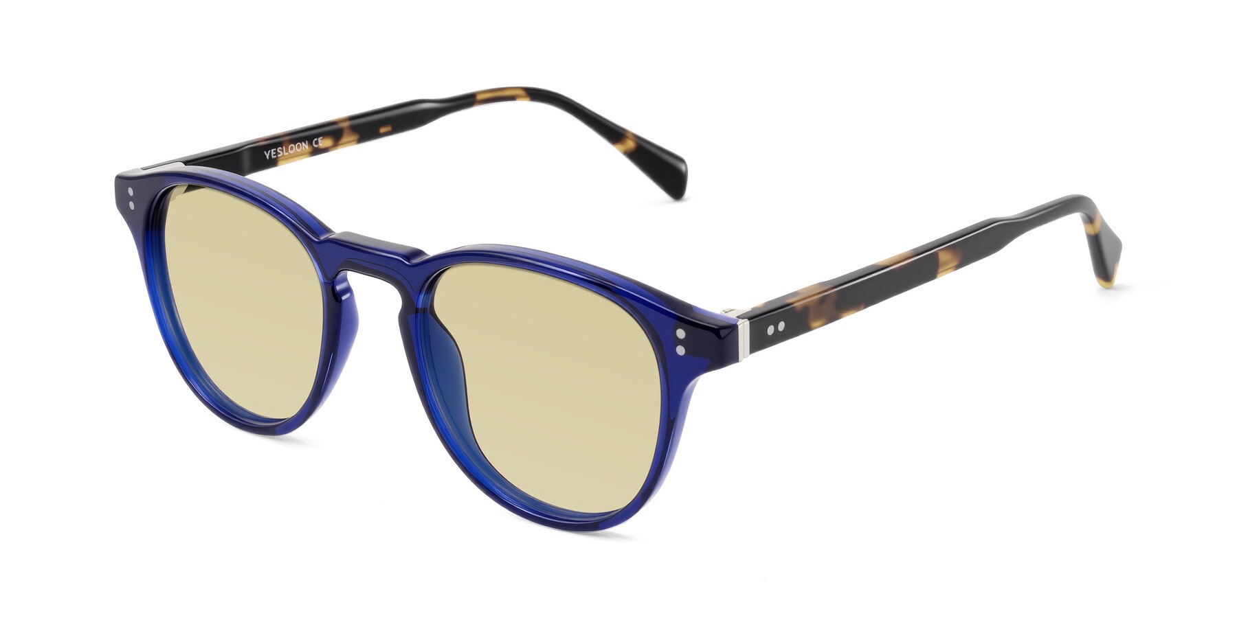 Angle of Dayen in Navy Blue/Tortoise with Light Champagne Tinted Lenses