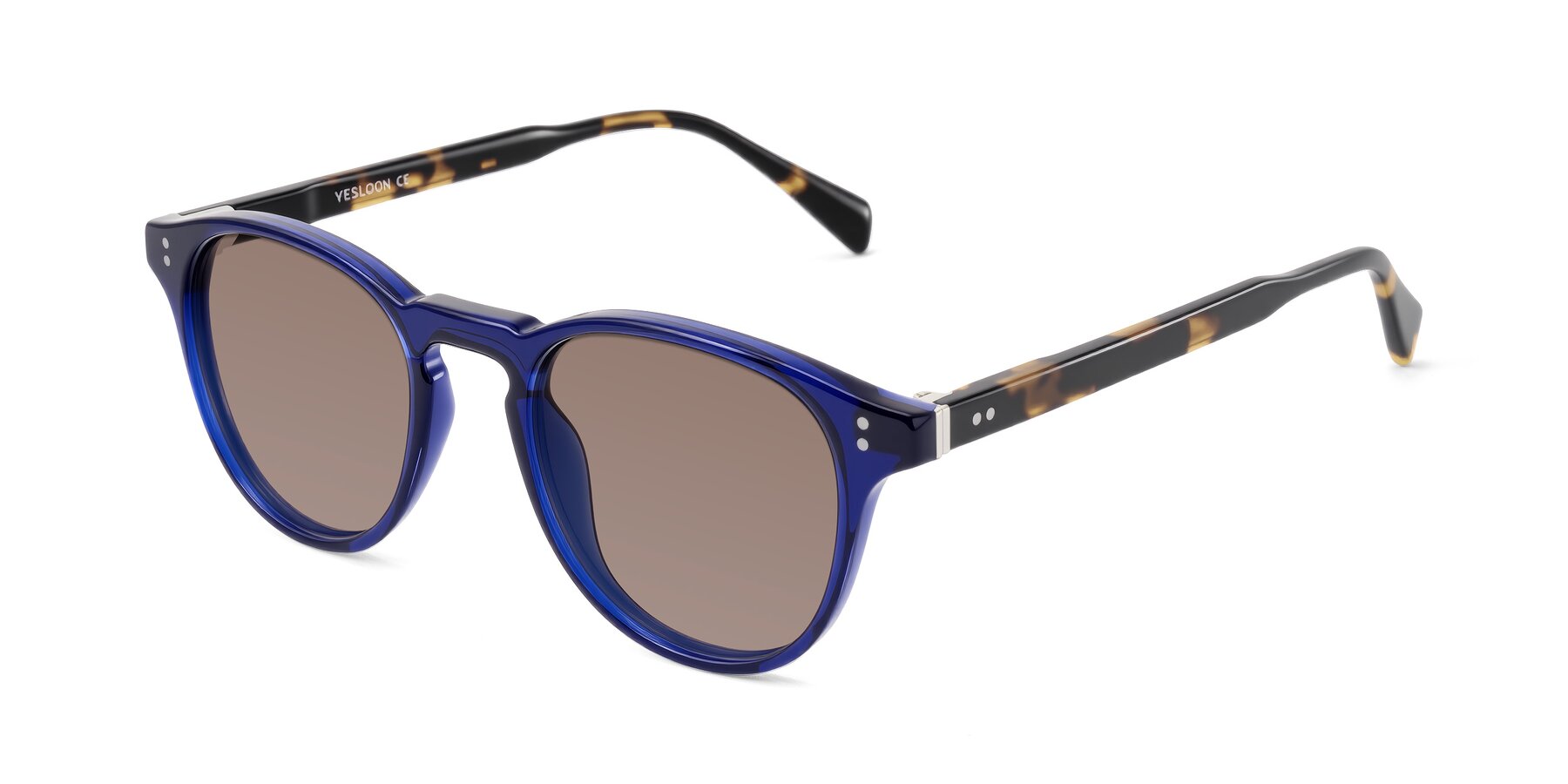 Angle of Dayen in Navy Blue/Tortoise with Medium Brown Tinted Lenses