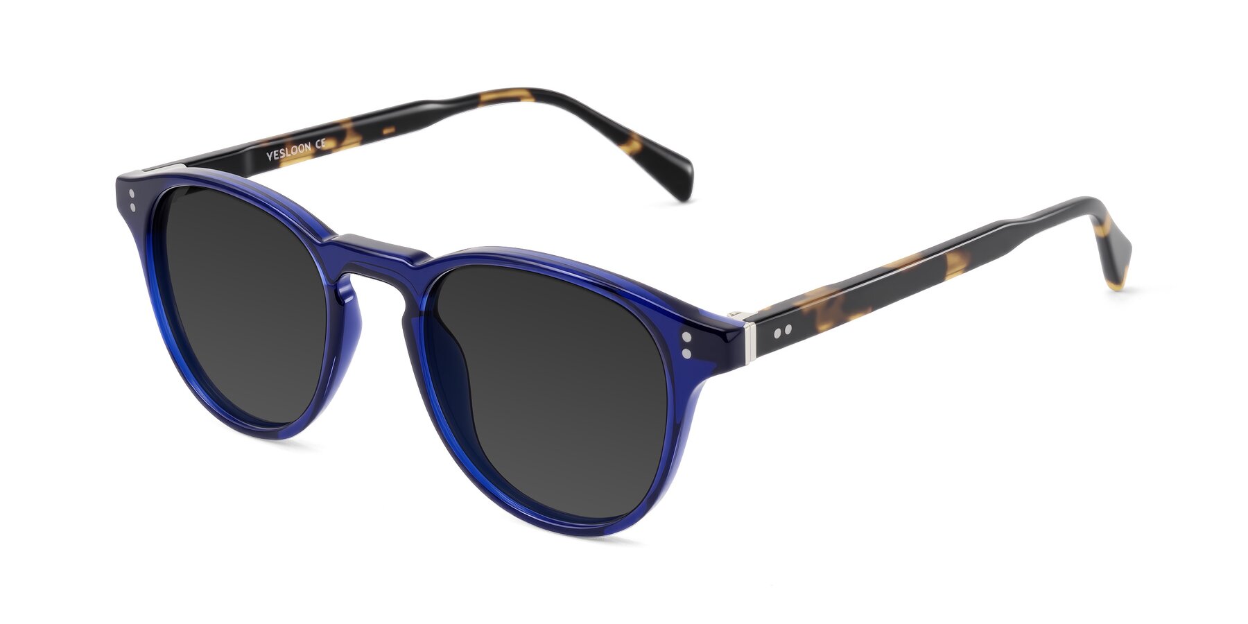 Angle of Dayen in Navy Blue/Tortoise with Gray Tinted Lenses