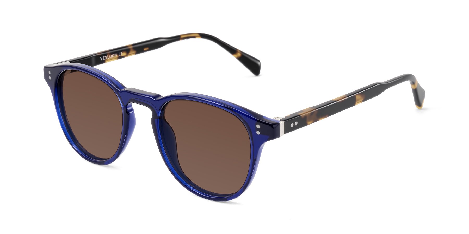 Angle of Dayen in Navy Blue/Tortoise with Brown Tinted Lenses